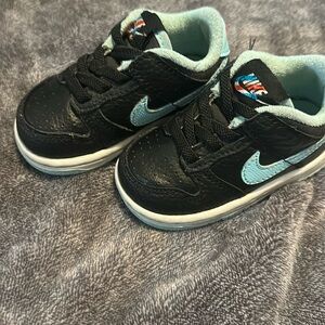 Nike dunks light blue check mark